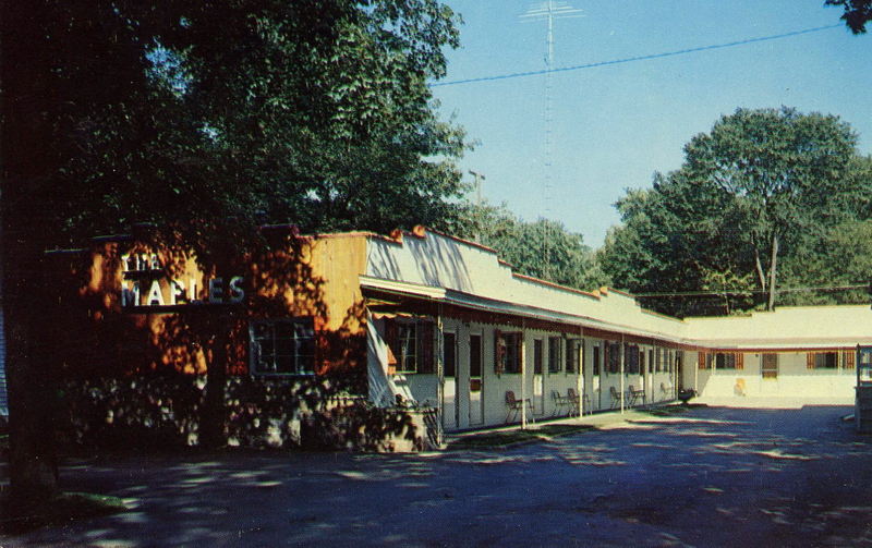 Maple Tree Inn (Maples Motel) - Vintage Postcard